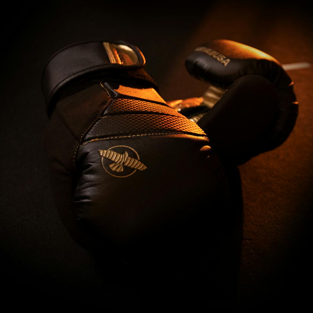 Hayabusa T3 Boxing Gloves